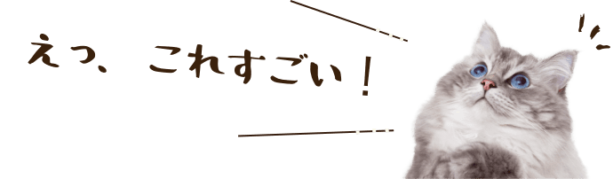 えっ、これすごい!