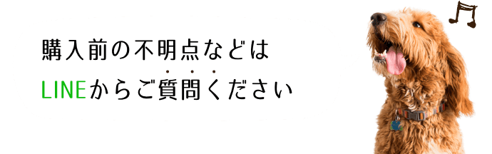 購入前の不明点などはLINE@からご質問ください